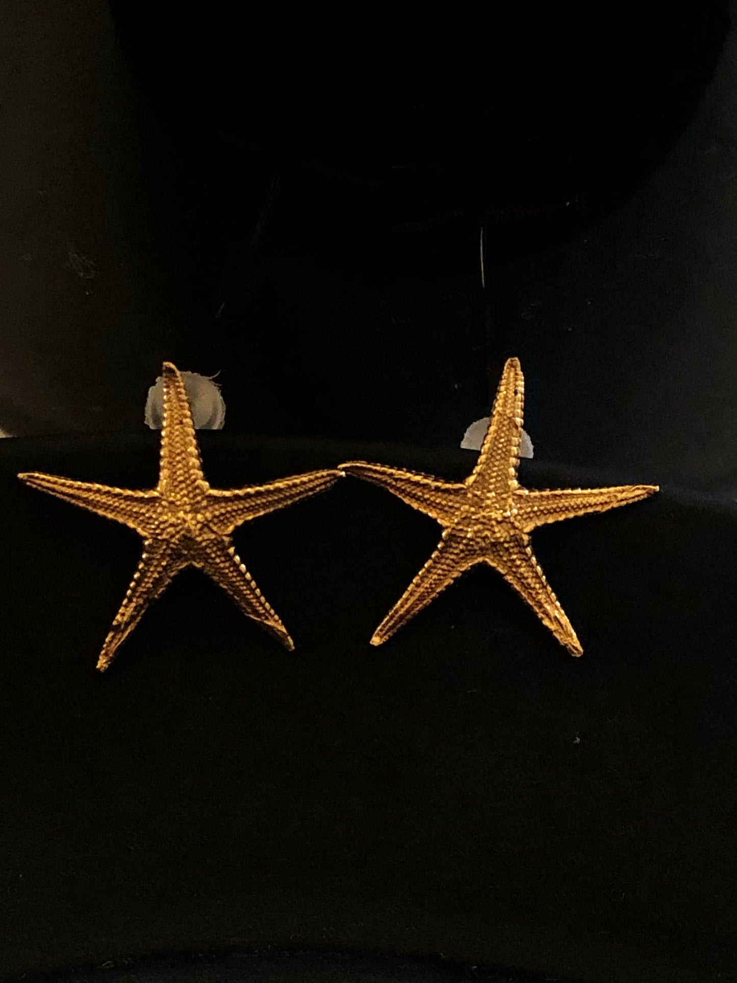 Arete estrella de mar