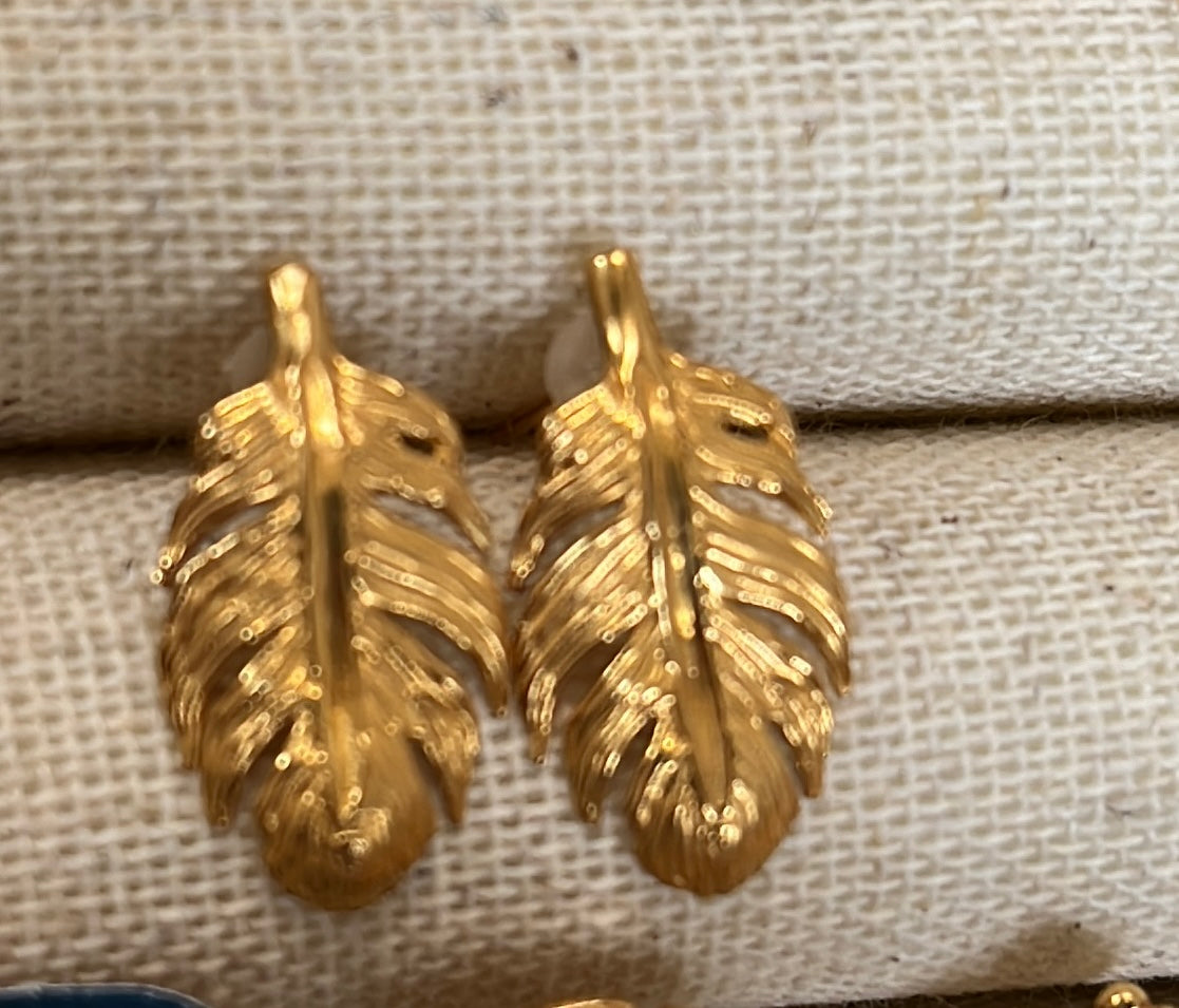 Pluma loro poste