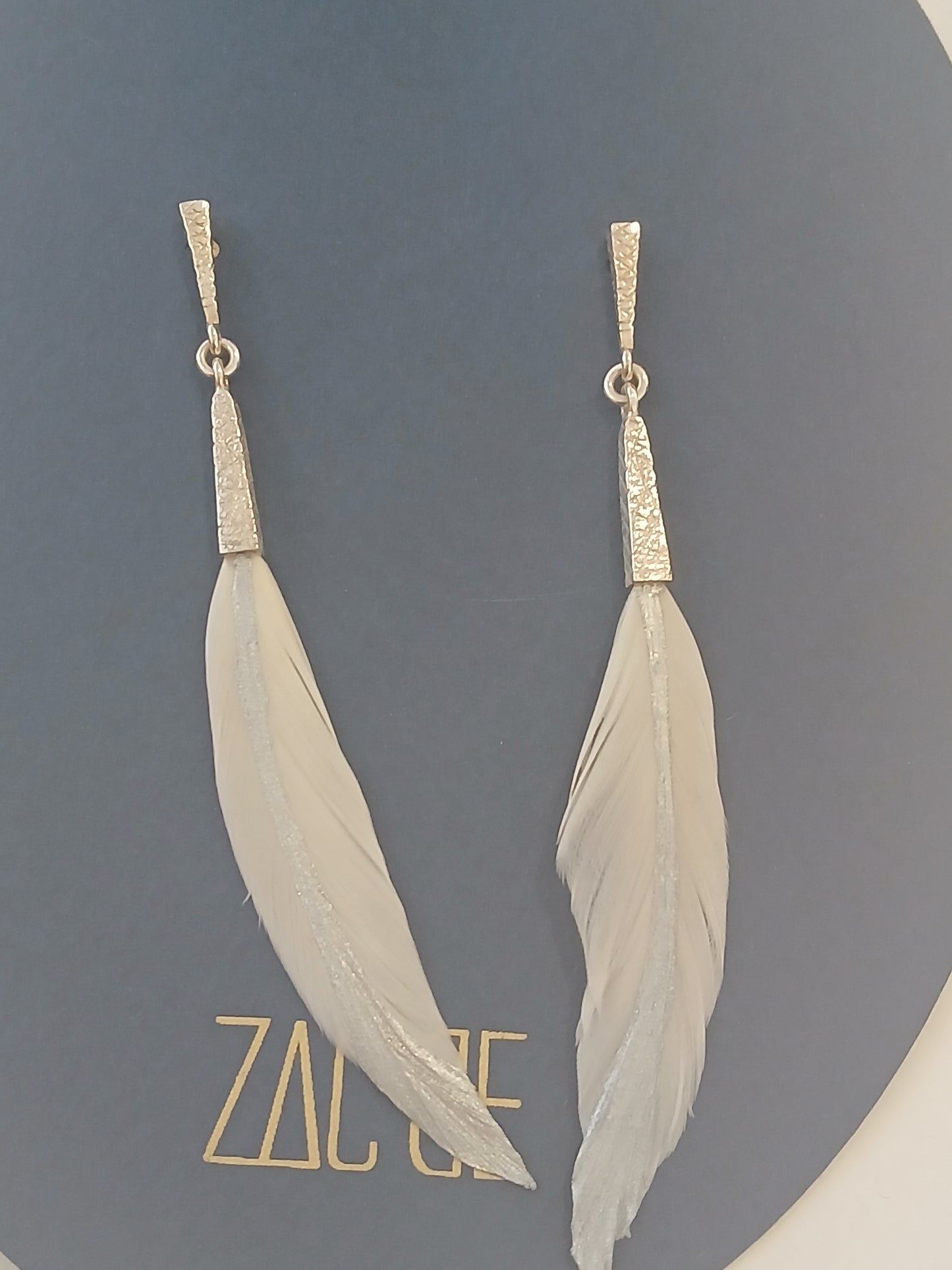 Arete pluma pato
