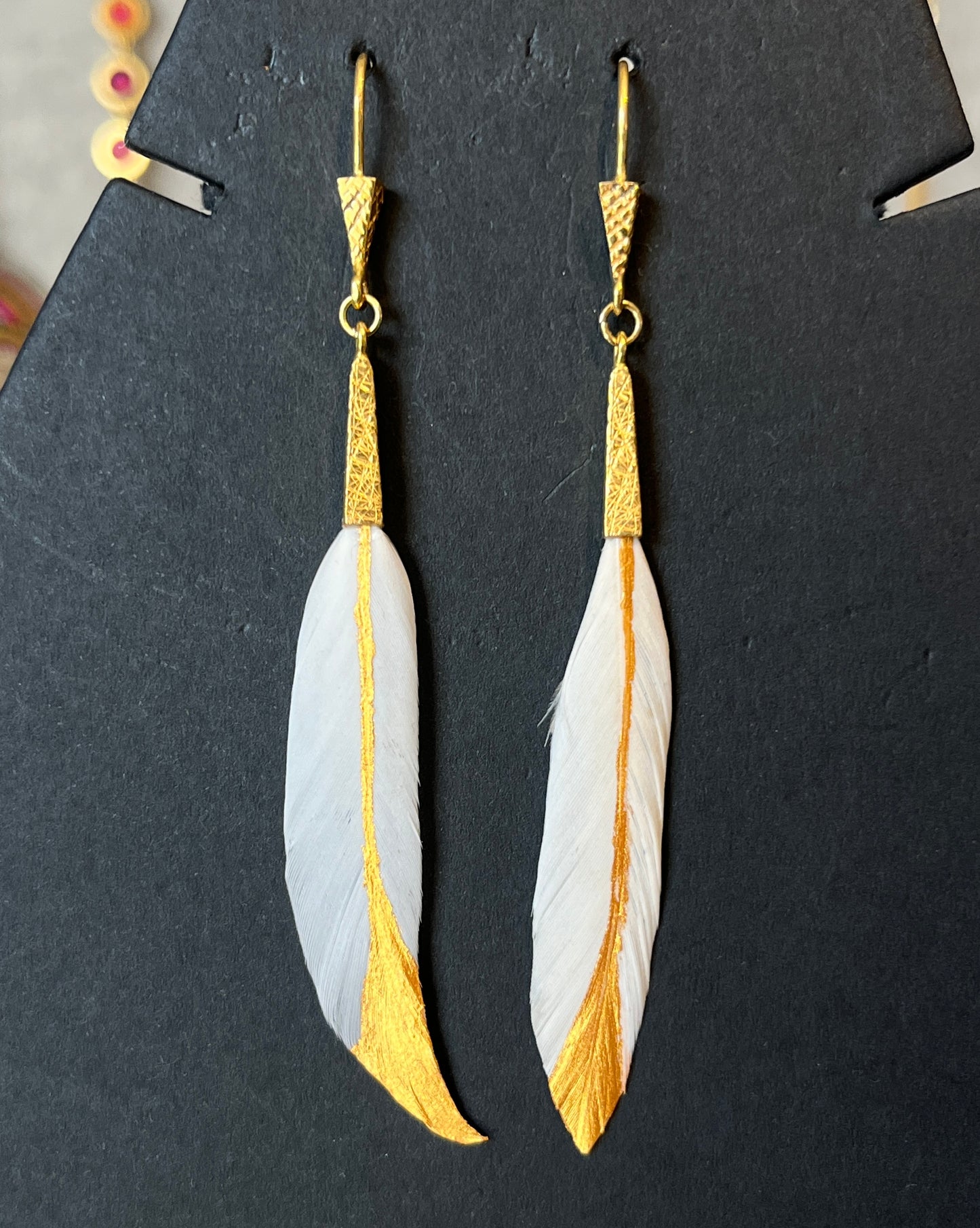 Arete pluma pato