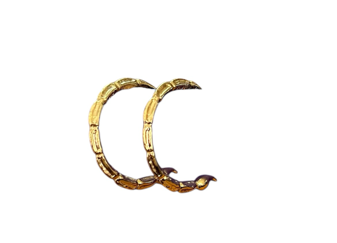 Arracadas cola alacran