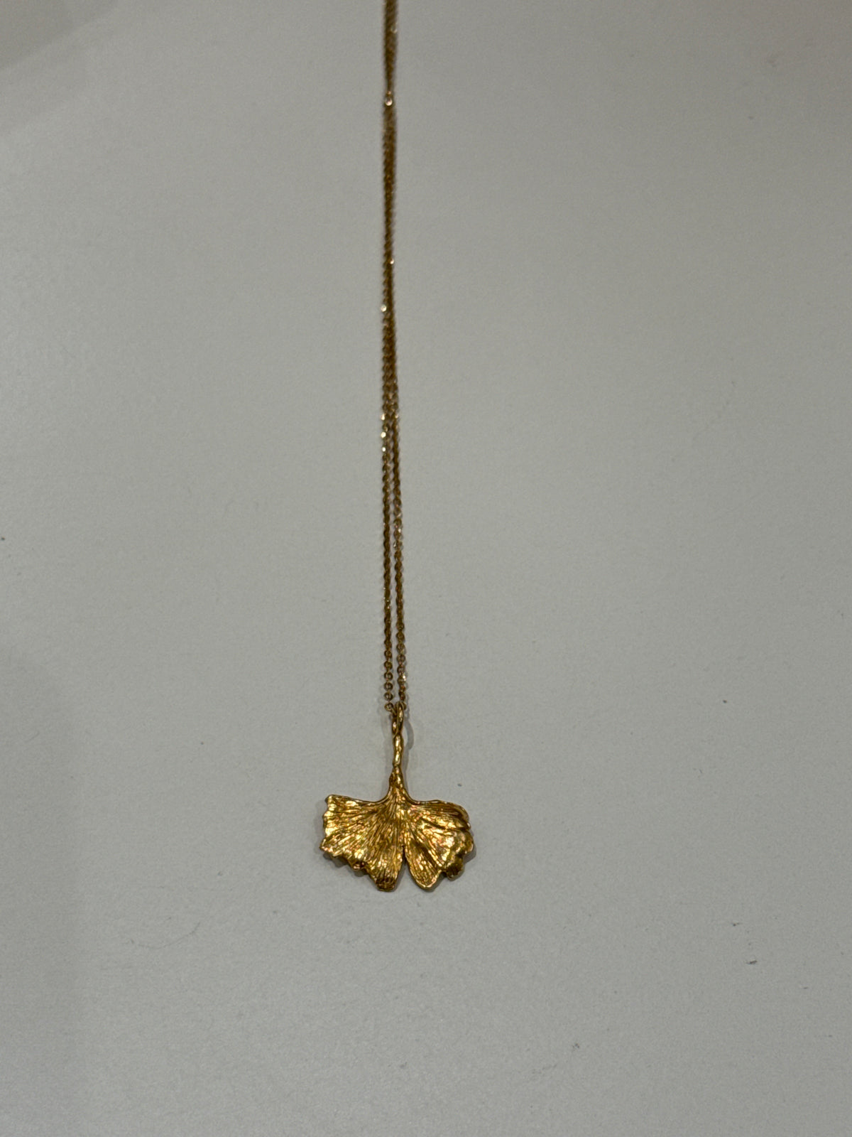 Collar Hoja Ginkgo Biloba