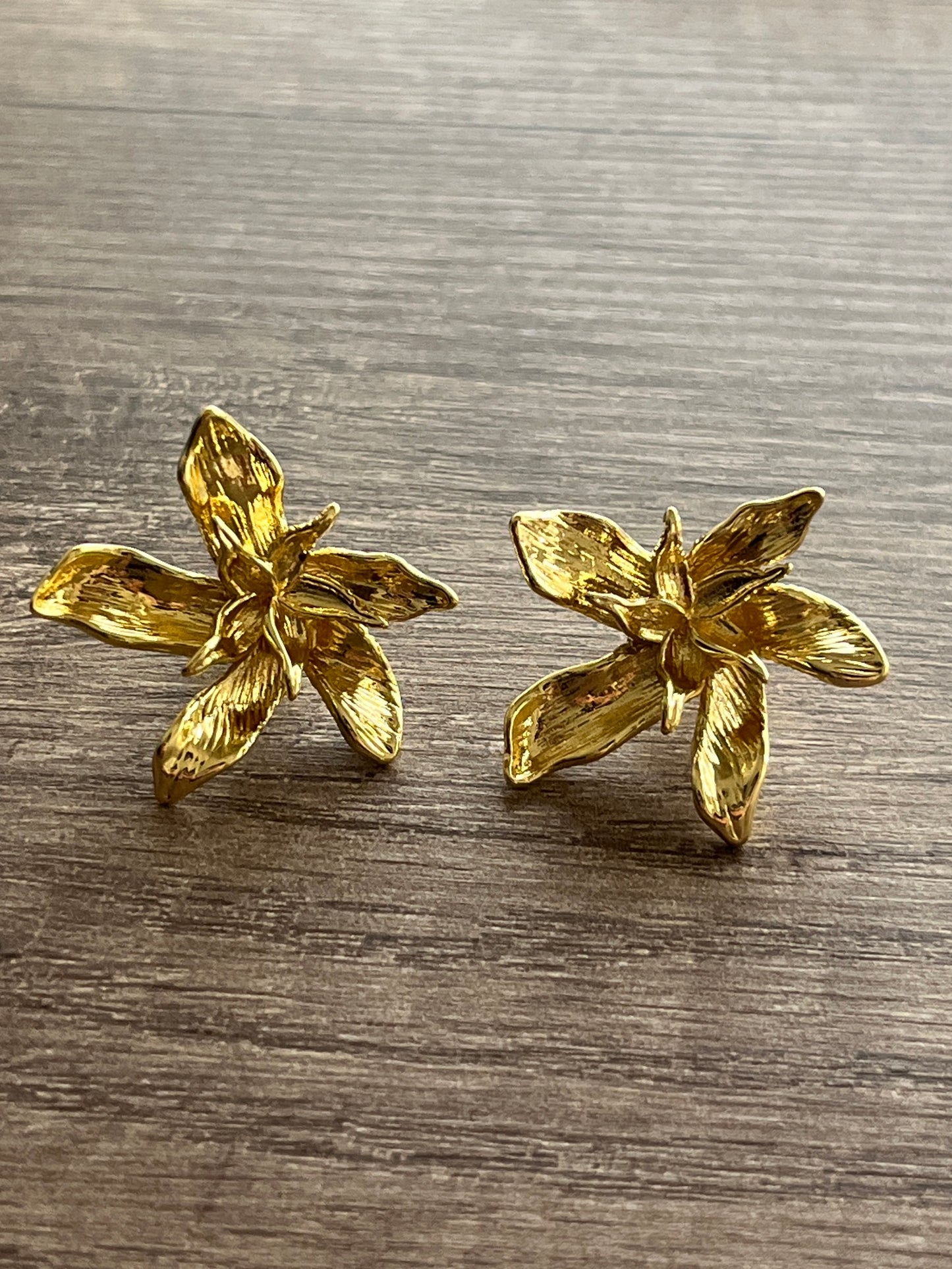 Aretes hawai