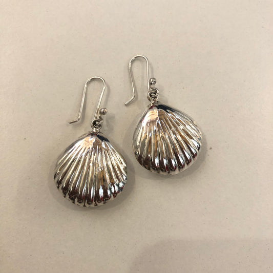 Arete concha