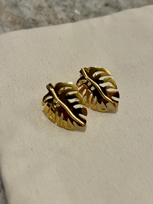 Aretes monstera